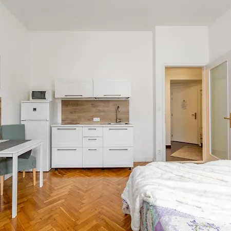 Apartment -studio Prague
